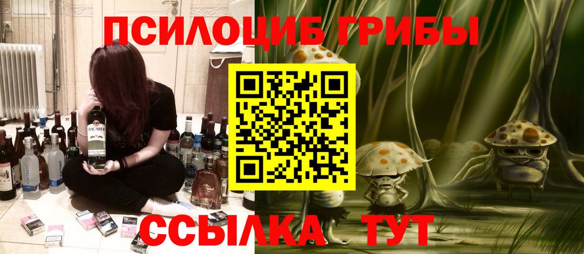 Псилоцибиновые грибы прущие грибы  Вход с VPN  Псков 