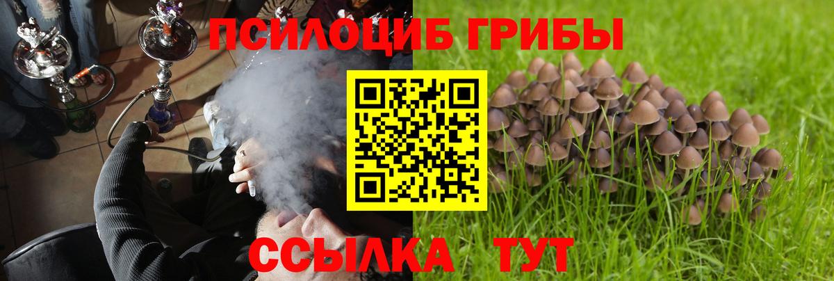 Псилоцибиновые грибы GOLDEN TEACHER Псков